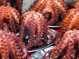 5-dangerous-foods